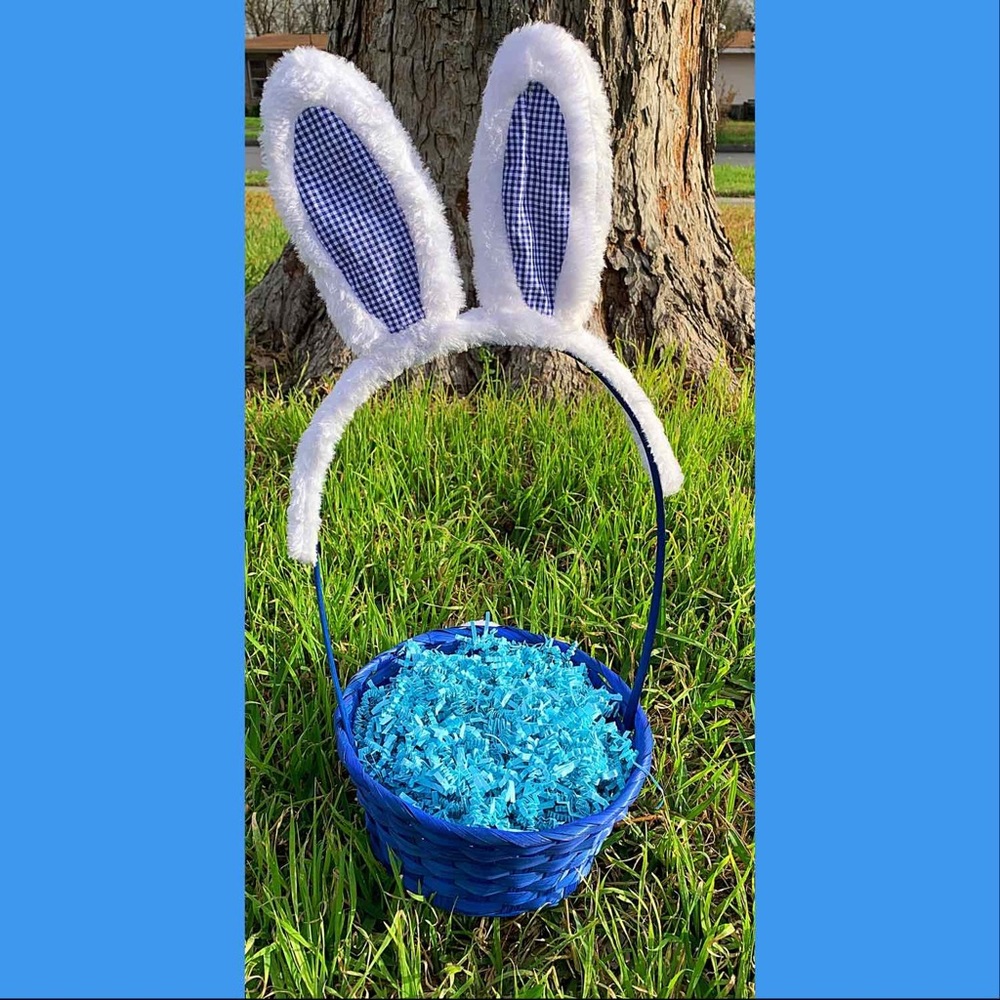 Easter Basket 💙🐰💙